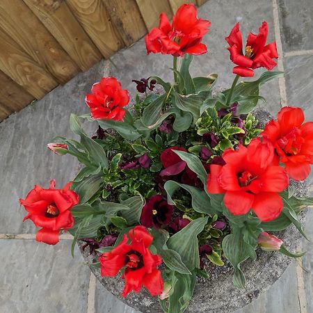 Rosegarth Bed And Breakfast Мартон Экстерьер фото